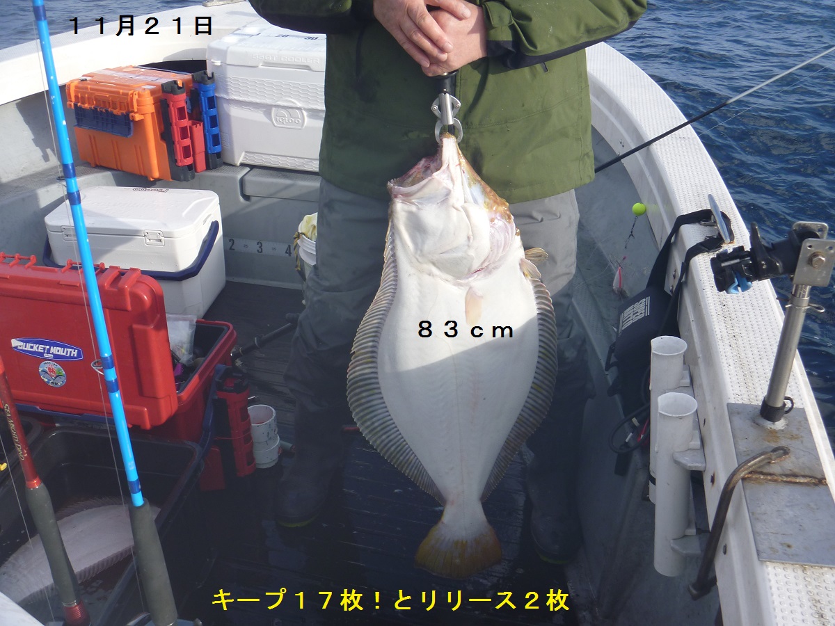 d411102ヒラメ 3.4袋白 津軽 令和6年11月21日 ヒラメ！ | 小樽・積丹で海釣り！｜FishingBoat