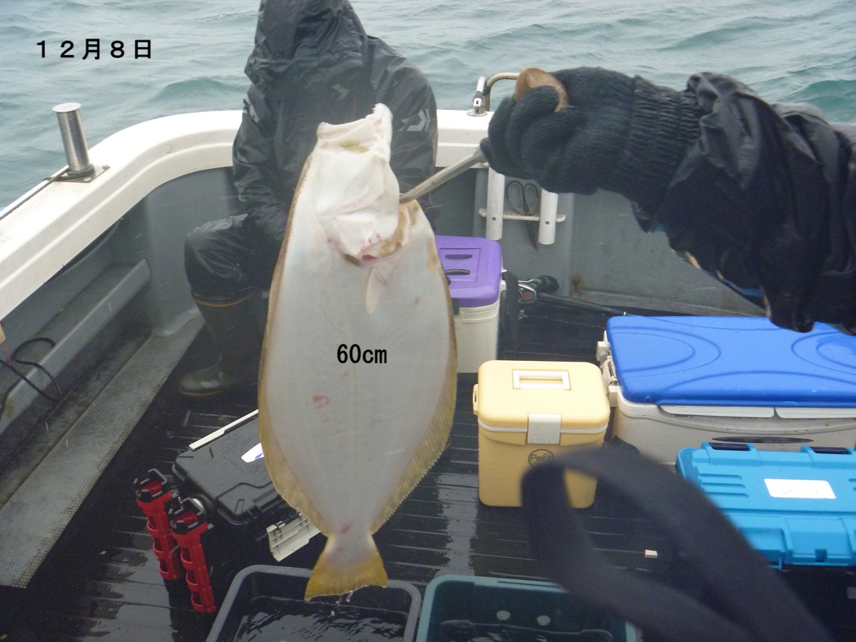 令和7年12月8日 ヒラメ！ | 小樽・積丹で海釣り！｜FishingBoat-LEXUS